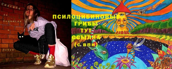 jwh Аркадак
