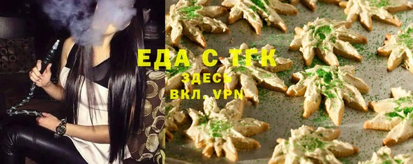 шишки Инта
