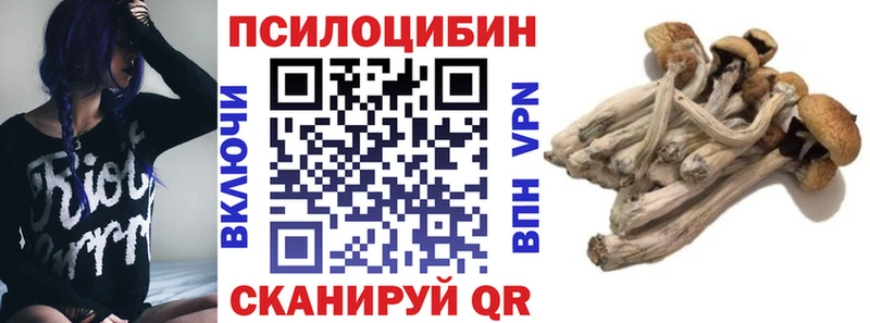 Галлюциногенные грибы Cubensis Сухой Лог